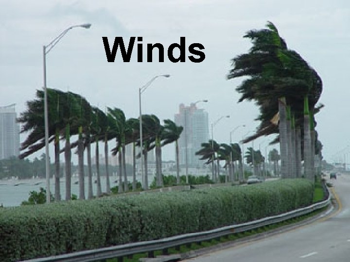 Winds 