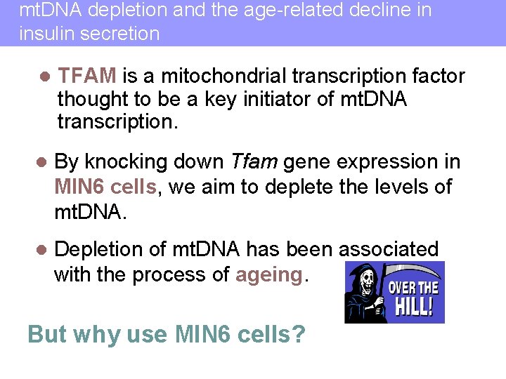 mt. DNA depletion and the age-related decline in insulin secretion l TFAM is a