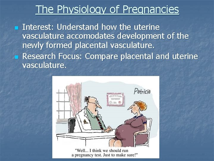 The Physiology of Pregnancies n n Interest: Understand how the uterine vasculature accomodates development