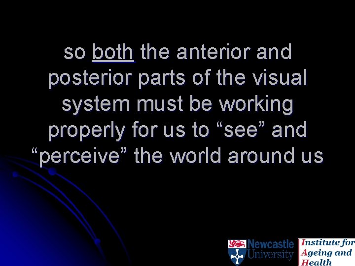 so both the anterior and posterior parts of the visual system must be working