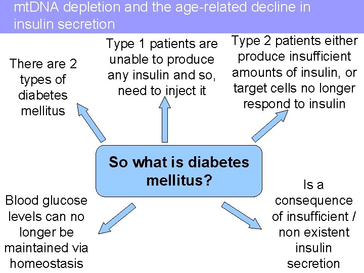 mt. DNA depletion and the age-related decline in insulin secretion There are 2 types