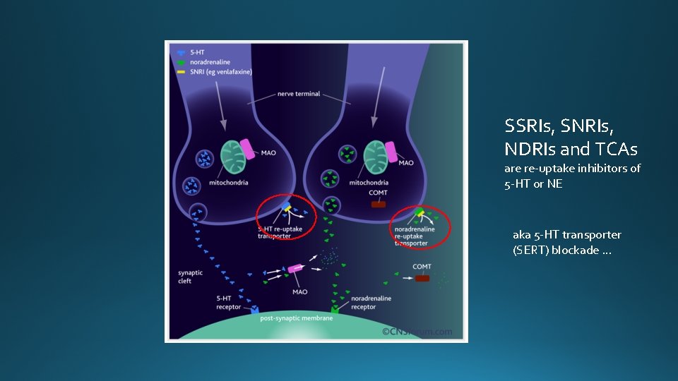 SSRIs, SNRIs, NDRIs and TCAs are re-uptake inhibitors of 5 -HT or NE aka