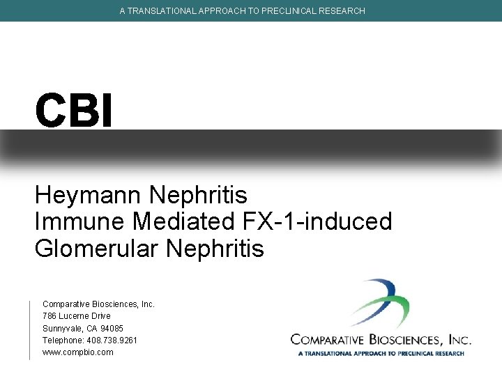 A TRANSLATIONAL APPROACH TO PRECLINICAL RESEARCH Heymann Nephritis Immune Mediated FX-1 -induced Glomerular Nephritis