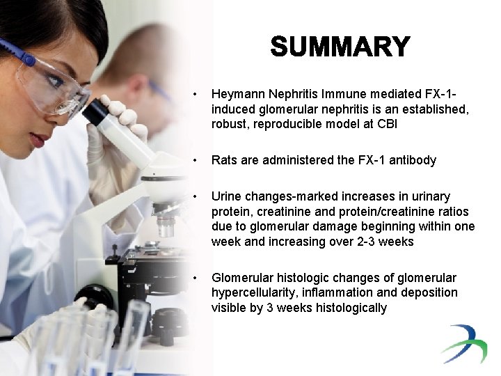  • Heymann Nephritis Immune mediated FX-1 induced glomerular nephritis is an established, robust,