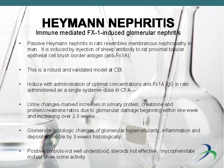 Immune mediated FX-1 -induced glomerular nephritis • Passive Heymann nephritis in rats resembles membranous