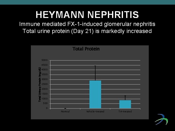 HEYMANN NEPHRITIS Immune mediated FX-1 -induced glomerular nephritis Total urine protein (Day 21) is