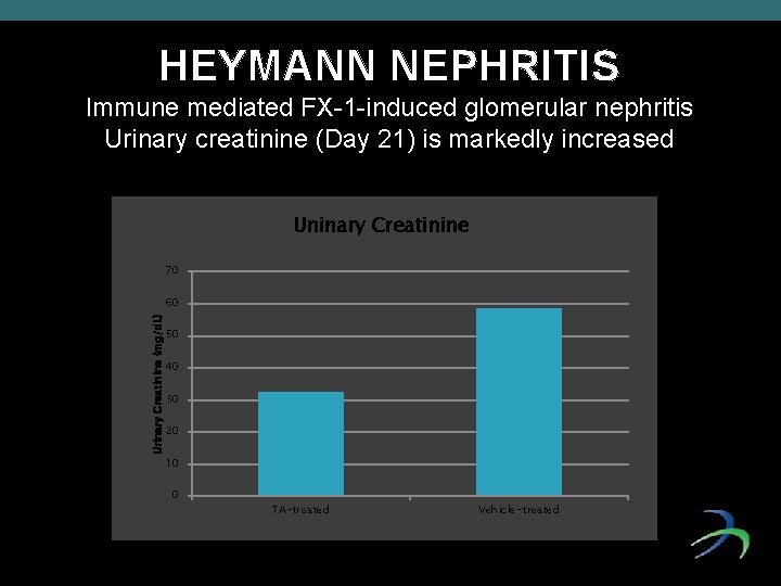 HEYMANN NEPHRITIS Immune mediated FX-1 -induced glomerular nephritis Urinary creatinine (Day 21) is markedly