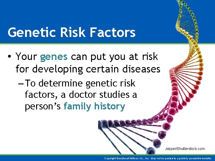 Genetic Risk Factors • Your genes can put you at risk for developing certain