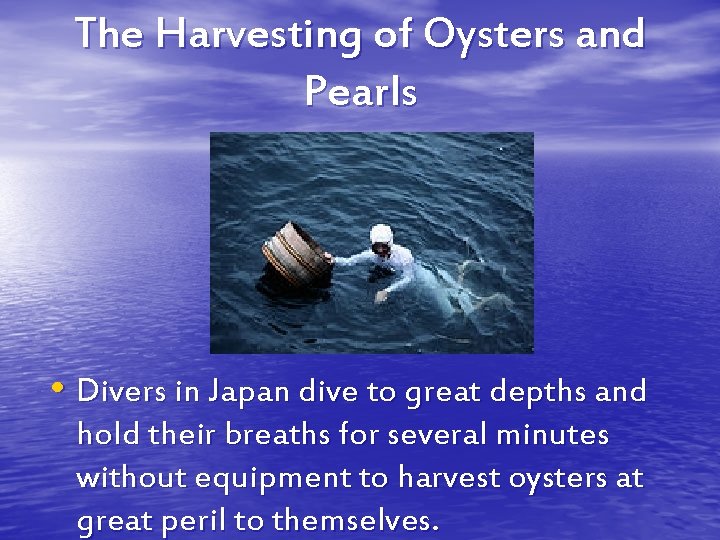 The Harvesting of Oysters and Pearls • Divers in Japan dive to great depths