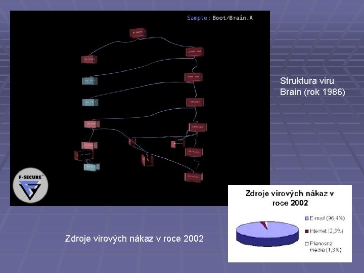 Struktura viru Brain (rok 1986) Zdroje virových nákaz v roce 2002 