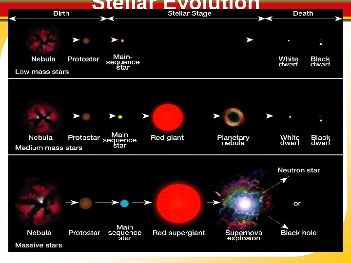 Stellar Evolution 