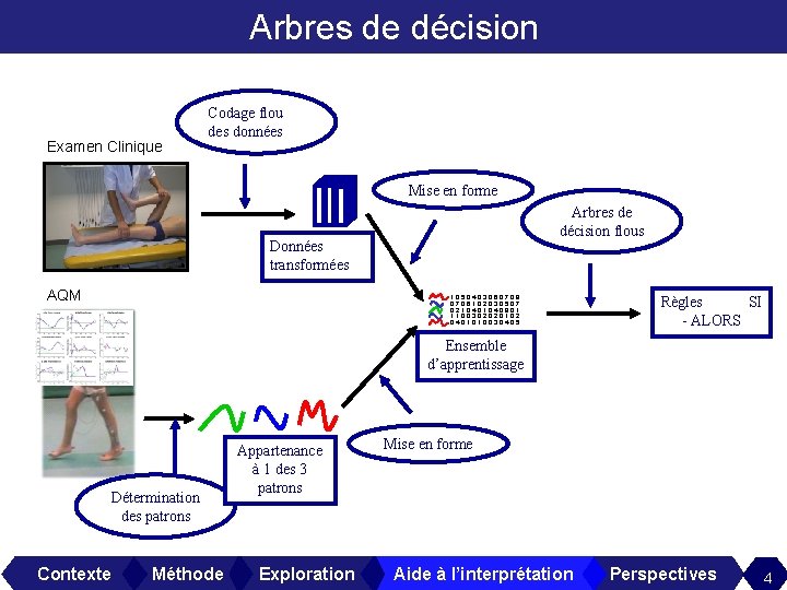 Arbres de décision Examen Clinique Codage flou des données Mise en forme Arbres de