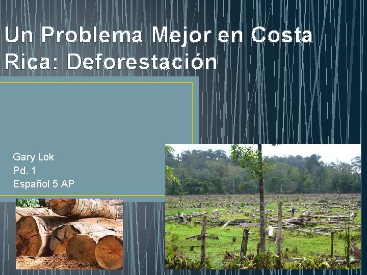 Un Problema Mejor en Costa Rica: Deforestación Gary Lok Pd. 1 Español 5 AP