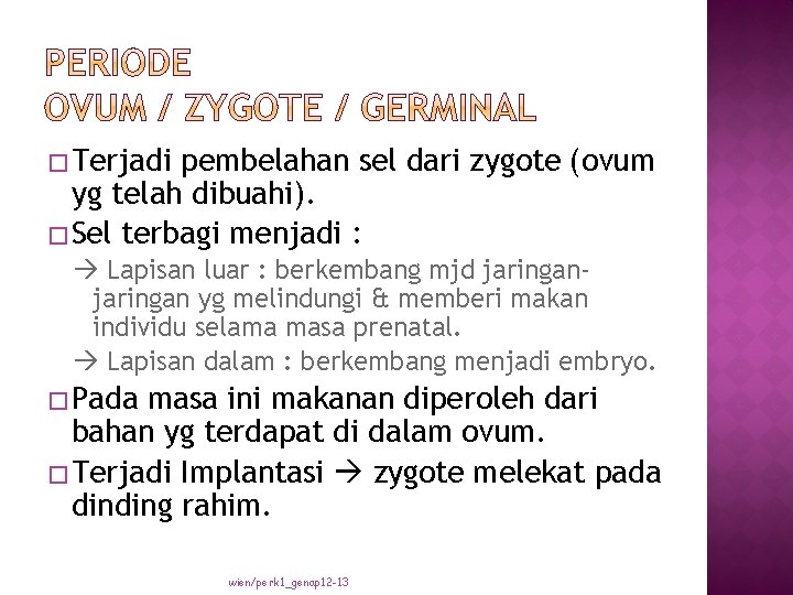 � Terjadi pembelahan sel dari zygote (ovum yg telah dibuahi). � Sel terbagi menjadi