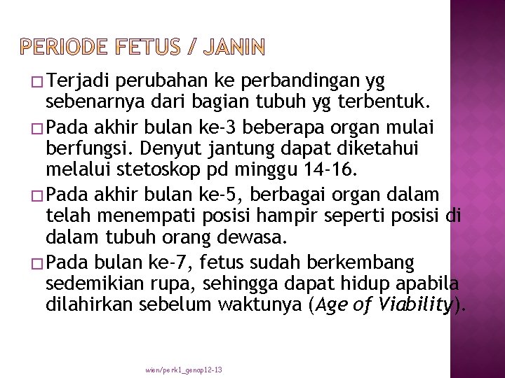 � Terjadi perubahan ke perbandingan yg sebenarnya dari bagian tubuh yg terbentuk. � Pada