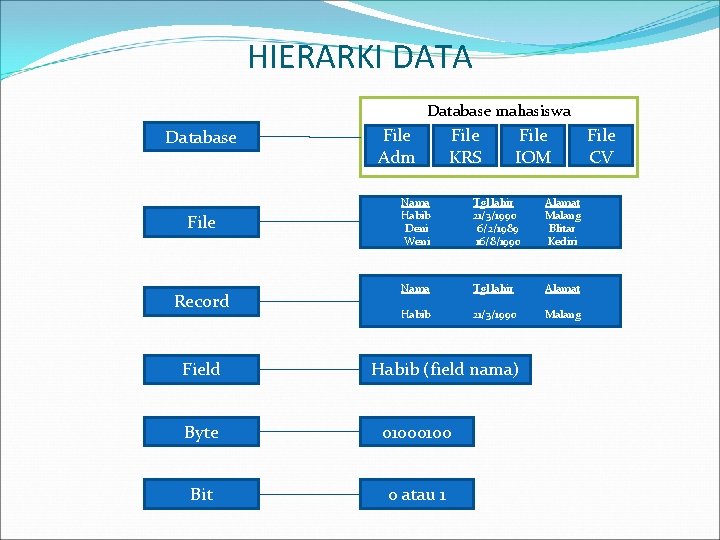 HIERARKI DATA Database mahasiswa Database File Record Field File Adm File KRS File IOM