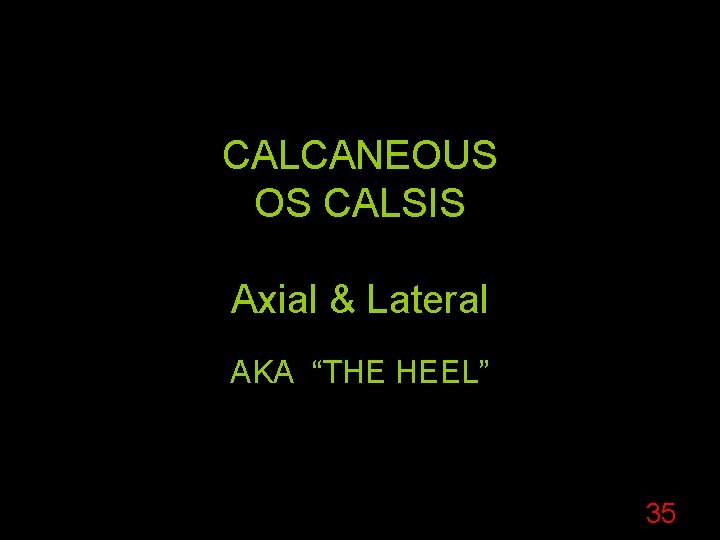 CALCANEOUS OS CALSIS Axial & Lateral AKA “THE HEEL” 35 