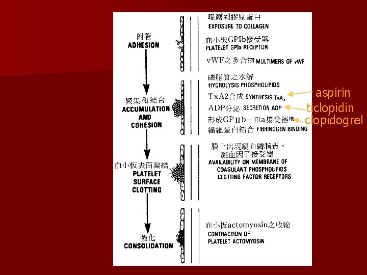 aspirin ticlopidin clopidogrel 