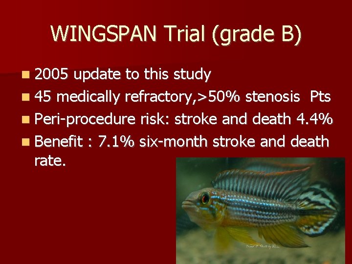 WINGSPAN Trial (grade B) 2005 update to this study 45 medically refractory, >50% stenosis