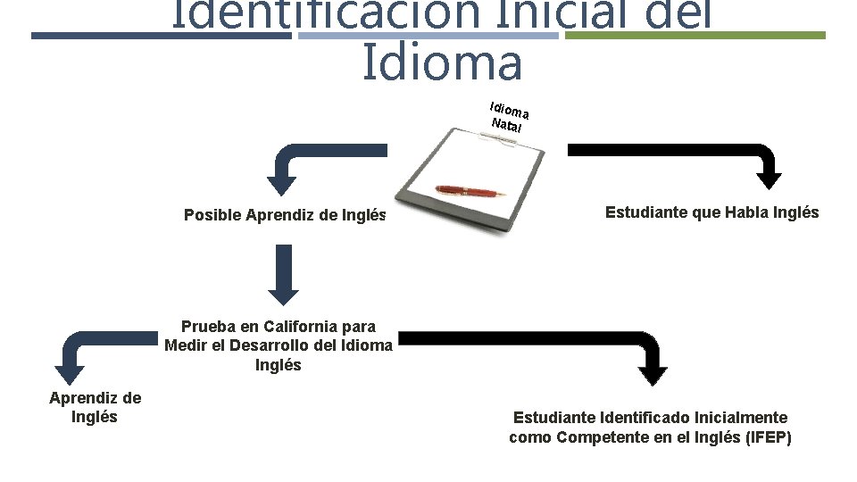 Identificación Inicial del Idioma Idiom a Nata l Posible Aprendiz de Inglés Estudiante que