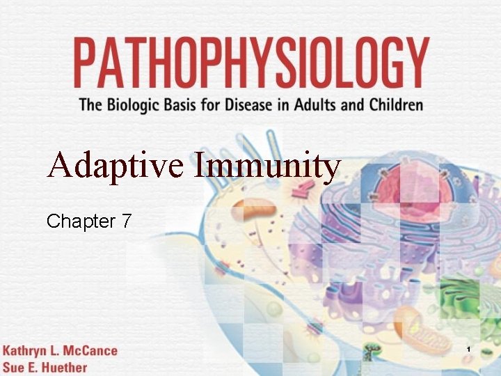 Adaptive Immunity Chapter 7 1 