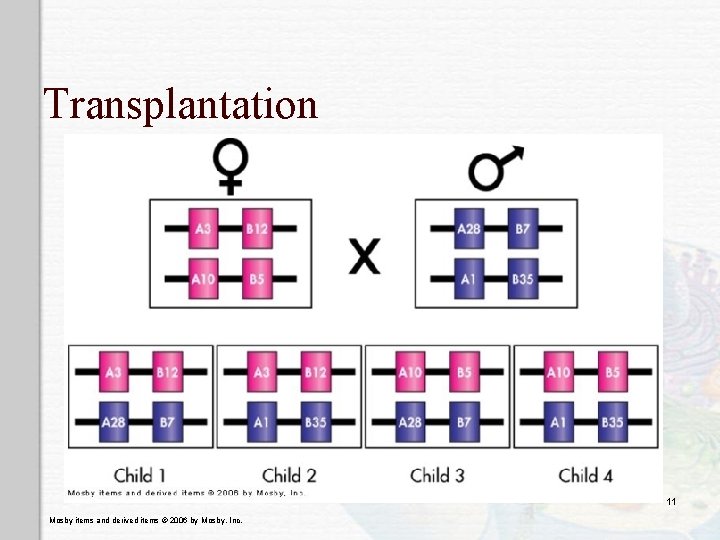 Transplantation 11 Mosby items and derived items © 2006 by Mosby, Inc. 