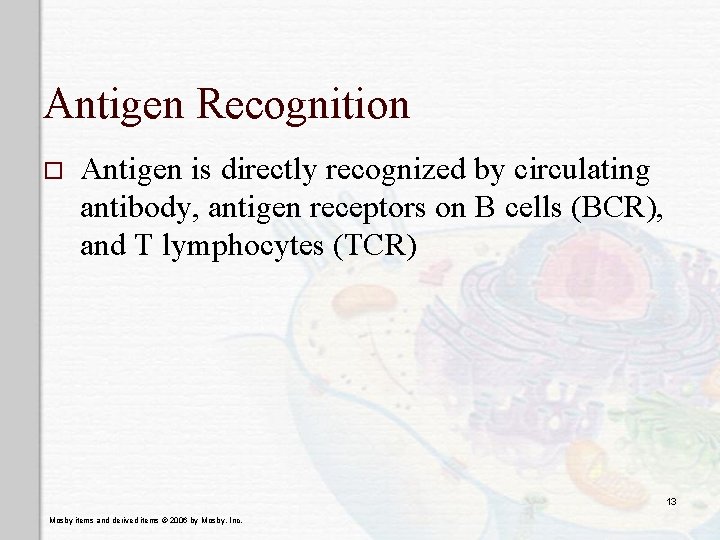 Antigen Recognition o Antigen is directly recognized by circulating antibody, antigen receptors on B