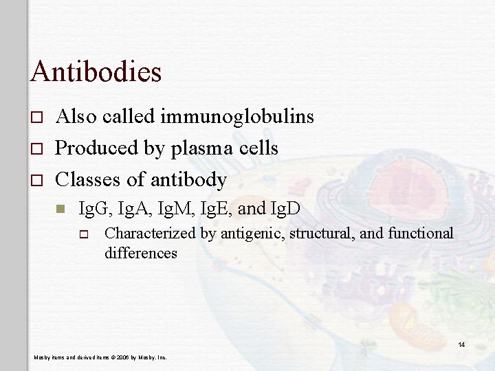 Antibodies o o o Also called immunoglobulins Produced by plasma cells Classes of antibody