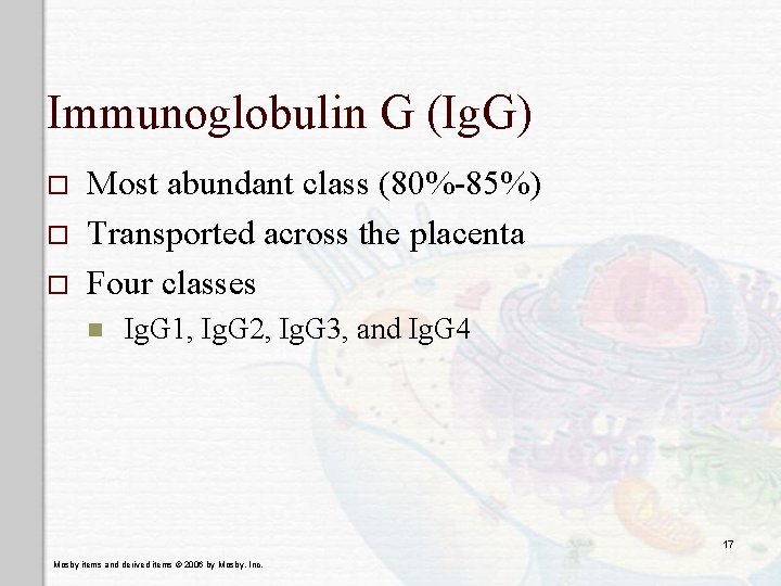 Immunoglobulin G (Ig. G) o o o Most abundant class (80%-85%) Transported across the