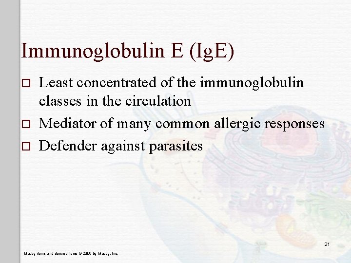 Immunoglobulin E (Ig. E) o o o Least concentrated of the immunoglobulin classes in