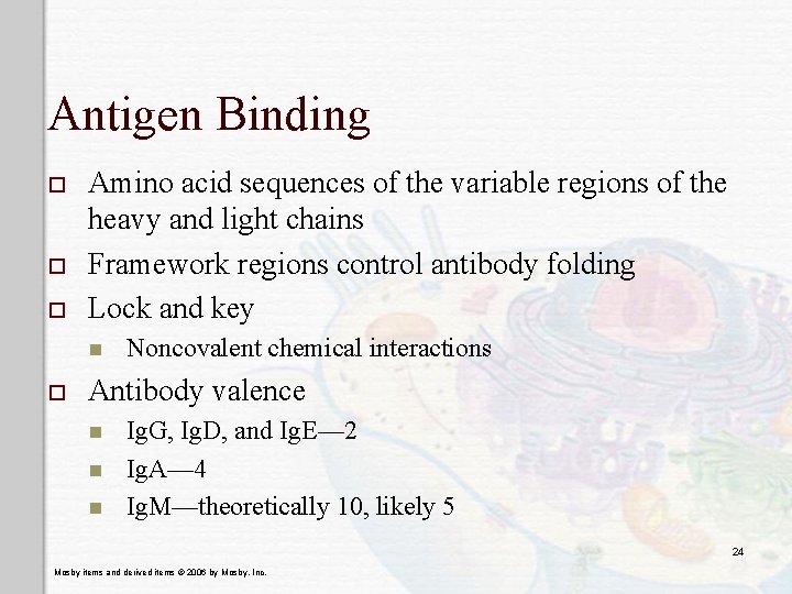 Antigen Binding o o o Amino acid sequences of the variable regions of the