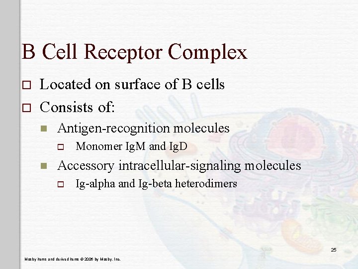 B Cell Receptor Complex o o Located on surface of B cells Consists of: