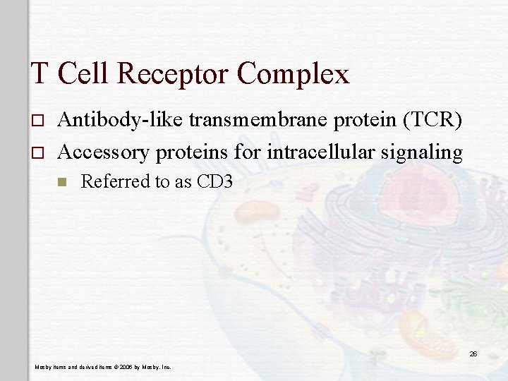 T Cell Receptor Complex o o Antibody-like transmembrane protein (TCR) Accessory proteins for intracellular