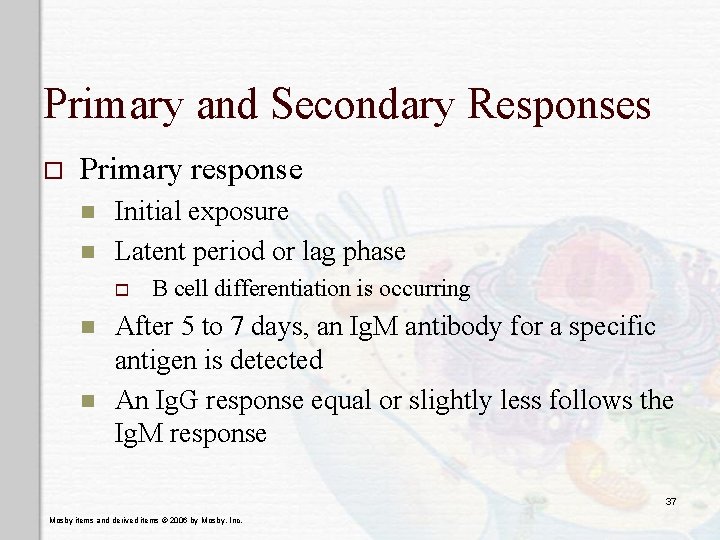 Primary and Secondary Responses o Primary response n n Initial exposure Latent period or