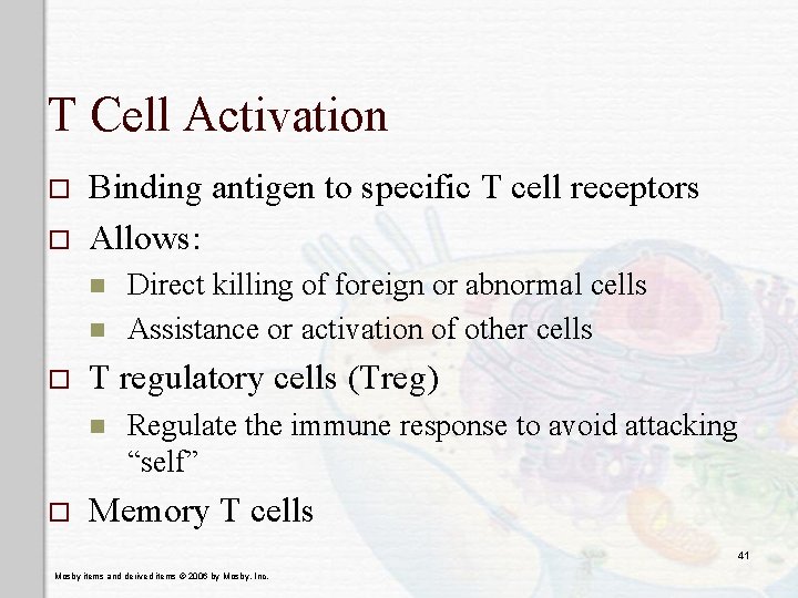 T Cell Activation o o Binding antigen to specific T cell receptors Allows: n