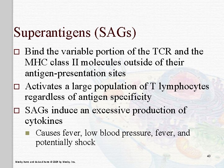 Superantigens (SAGs) o o o Bind the variable portion of the TCR and the