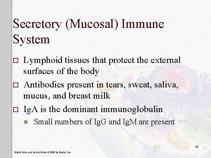 Secretory (Mucosal) Immune System o o o Lymphoid tissues that protect the external surfaces