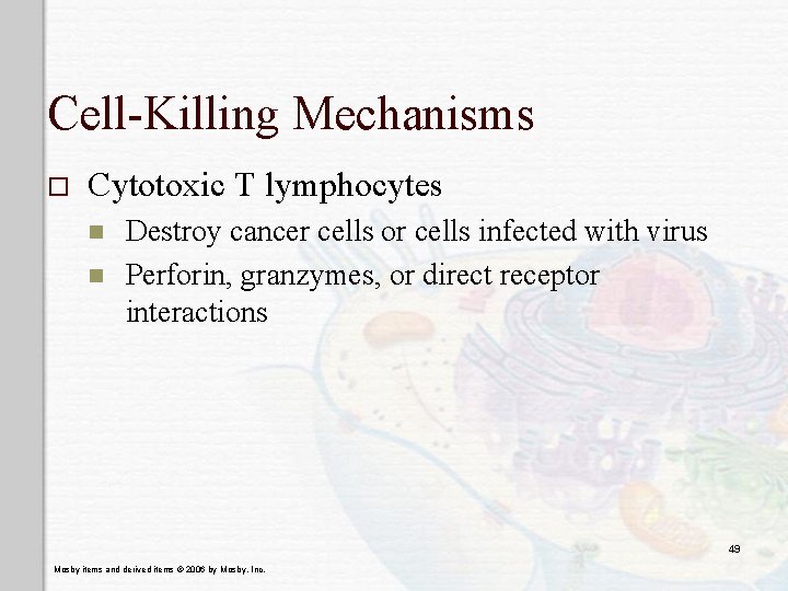 Cell-Killing Mechanisms o Cytotoxic T lymphocytes n n Destroy cancer cells or cells infected