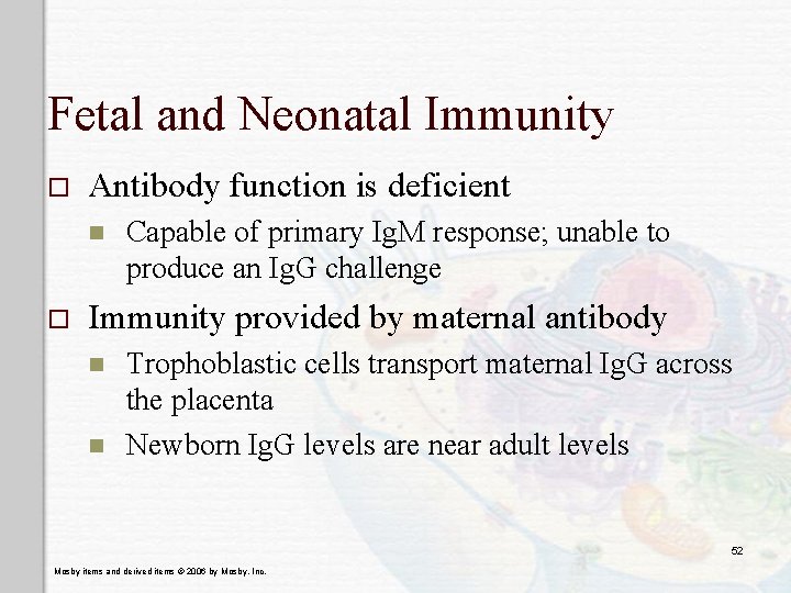 Fetal and Neonatal Immunity o Antibody function is deficient n o Capable of primary