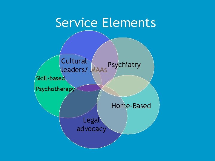 Service Elements Cultural Psychiatry leaders/ MAAs Skill-based Psychotherapy Home-Based Legal advocacy 
