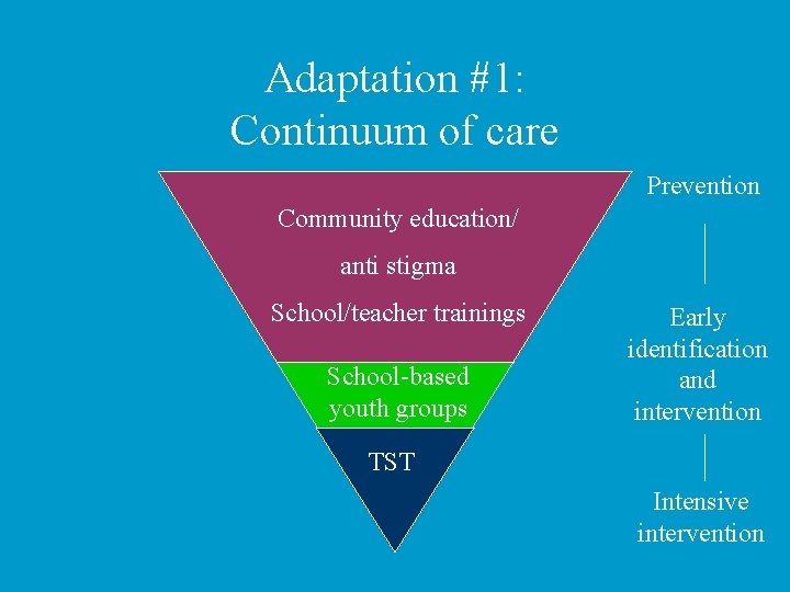 Adaptation #1: Continuum of care Prevention Community education/ anti stigma School/teacher trainings School-based youth