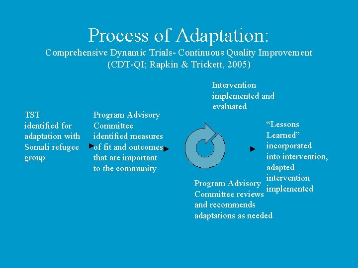Process of Adaptation: Comprehensive Dynamic Trials- Continuous Quality Improvement (CDT-QI; Rapkin & Trickett, 2005)