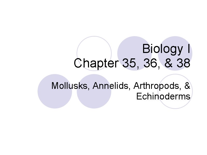 Biology I Chapter 35, 36, & 38 Mollusks, Annelids, Arthropods, & Echinoderms 