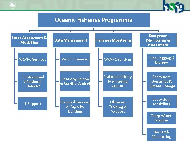 Oceanic Fisheries Programme Stock Assessment & Modelling Data Management Fisheries Monitoring Ecosystem Monitoring &