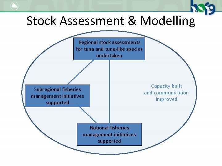 Stock Assessment & Modelling Regional stock assessments for tuna and tuna-like species undertaken Subregional