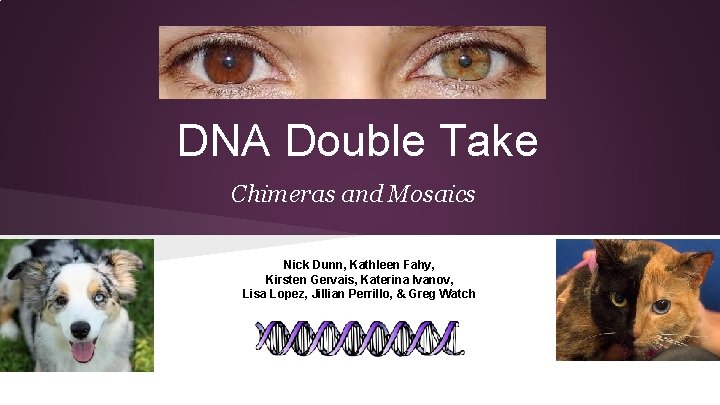 DNA Double Take Chimeras and Mosaics Nick Dunn, Kathleen Fahy, Kirsten Gervais, Katerina Ivanov,