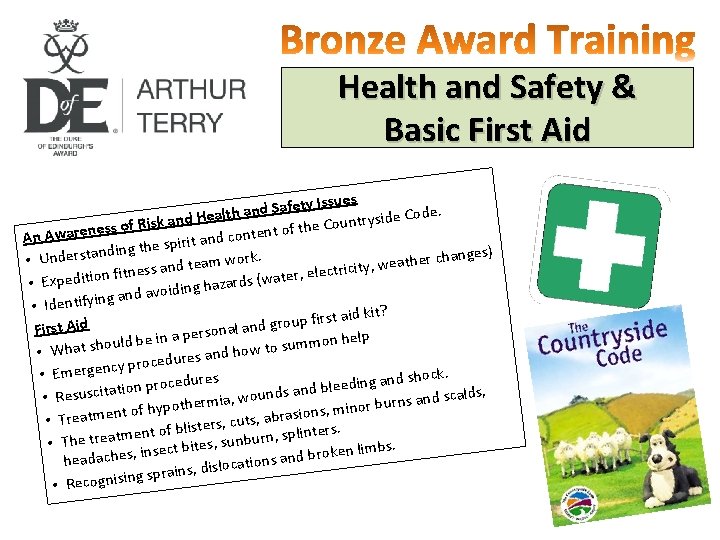 Health and Safety & Basic First Aid Issues y t e f a S