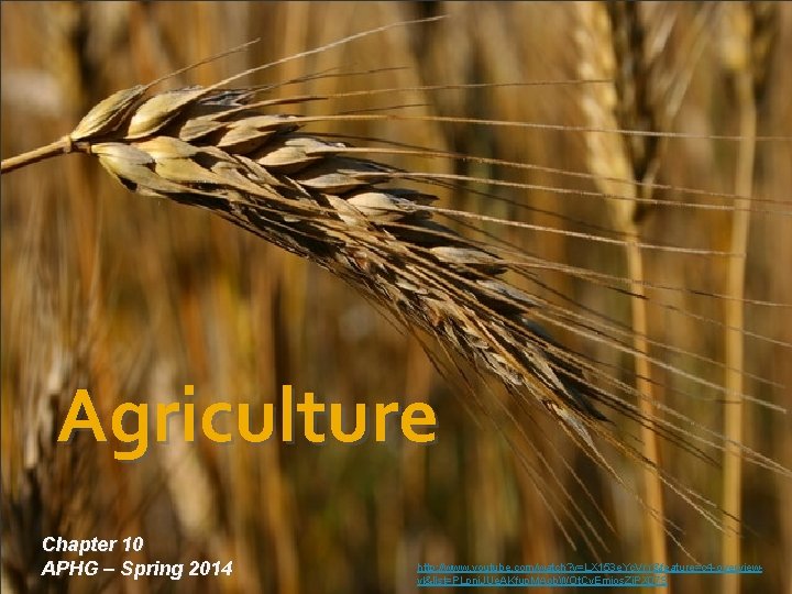 Agriculture Chapter 10 APHG – Spring 2014 http: //www. youtube. com/watch? v=LX 153 e.