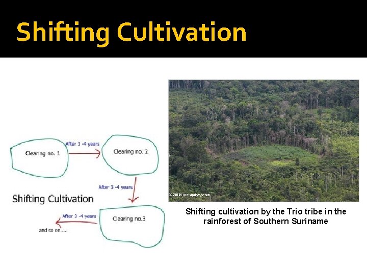 Shifting Cultivation Shifting cultivation by the Trio tribe in the rainforest of Southern Suriname