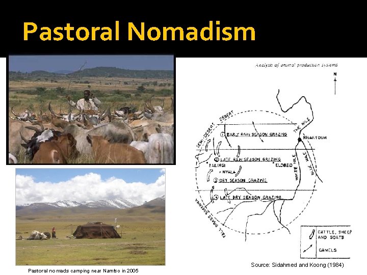 Pastoral Nomadism Pastoral nomads camping near Namtso in 2005 Source: Sidahmed and Koong (1984)